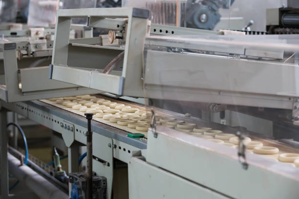 راه‌ اندازی خط تولید بیسکویت پتی بور با تجهیزات مدرن صنعتی