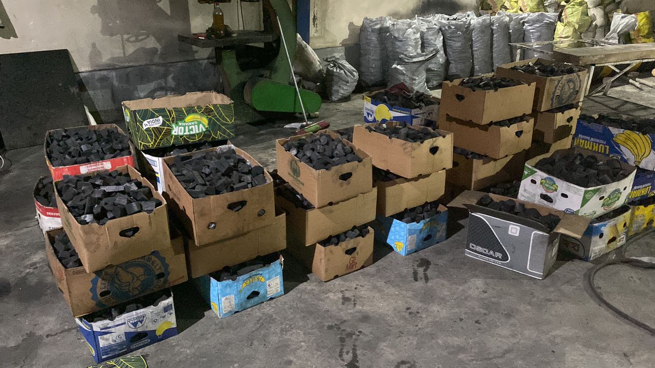 فروش زغال لیمو قلیانی با کیفیت سکه ای