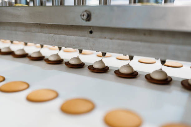 تصویر 2 از راه‌ اندازی خط تولید بیسکویت کرمدار  با دستگاه کرم‌ زنی اتوماتیک