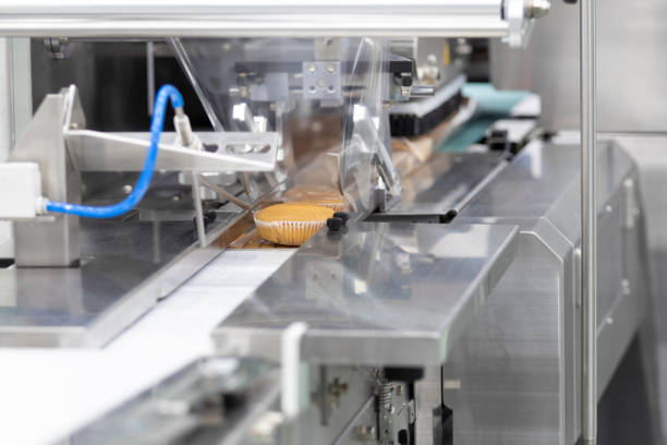 تصویر 4 از راه‌ اندازی خط تولید بیسکویت کرمدار  با دستگاه کرم‌ زنی اتوماتیک