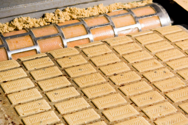 تصویر 5 از راه‌ اندازی خط تولید بیسکویت ویفر با فناوری کنترل ضخامت