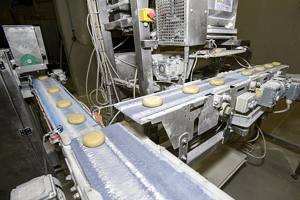 تصویر 4 از راه‌ اندازی خط تولید بیسکویت سازی ظرفیت تولید روزانه بالا