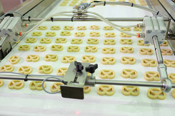 راه‌ اندازی خط تولید بیسکویت سازی ظرفیت تولید روزانه بالا