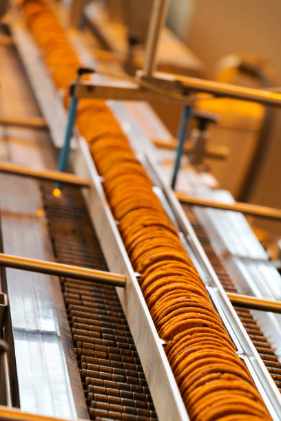 تصویر 3 از راه‌ اندازی خط تولید بیسکویت صنعتی ظرفیت ۳۰۰ کیلو تا ۳ تن روزانه