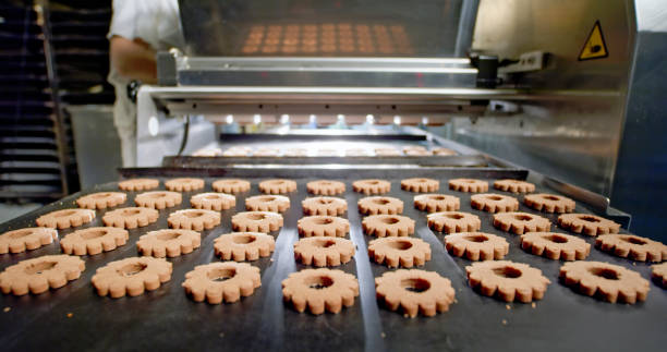 تصویر 2 از راه‌ اندازی خط تولید بیسکویت صنعتی ظرفیت ۳۰۰ کیلو تا ۳ تن روزانه