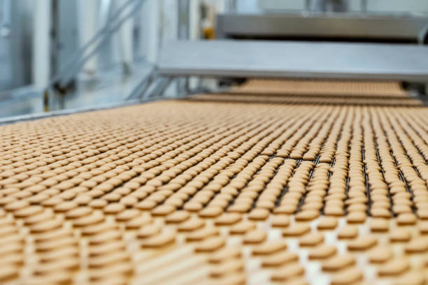 تصویر 5 از راه‌ اندازی خط تولید بیسکویت صنعتی ظرفیت ۳۰۰ کیلو تا ۳ تن روزانه