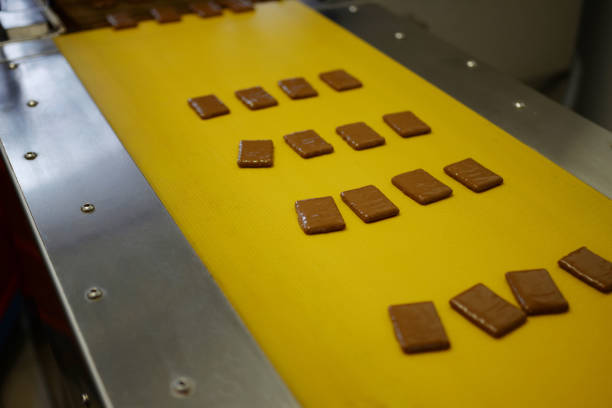 تصویر 2 از راه‌ اندازی خط تولید بیسکویت شکلاتی با کنترل کیفیت