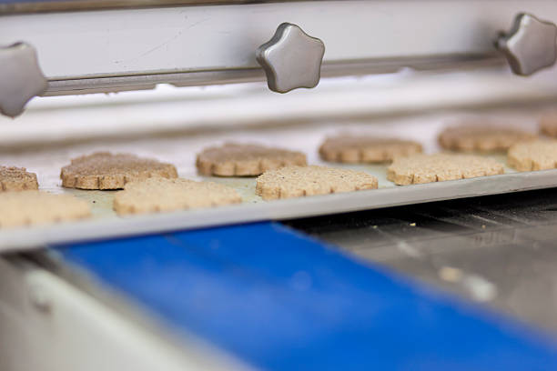 راه‌ اندازی خط تولید بیسکویت کارگاهی مناسب تولید روزانه ۳۰۰ کیلو