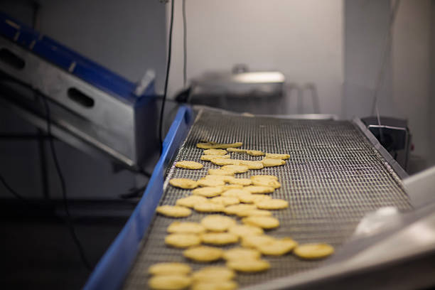 تصویر 3 از راه‌ اندازی خط تولید بیسکویت کارگاهی مناسب تولید روزانه ۳۰۰ کیلو