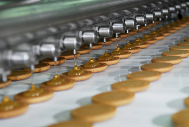 تصویر 2 از راه‌ اندازی خط تولید کارخانه بیسکویت خط کامل