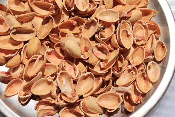 تصویر 3 از پوست پسته تناژ بالا درجه یک صادراتی