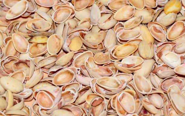 تصویر 4 از پوست پسته خشک شده مناسب کود آلی کمپوست