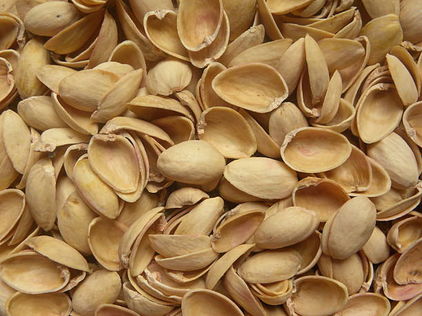 تصویر 3 از پوست پسته خشک شده مناسب کود آلی کمپوست