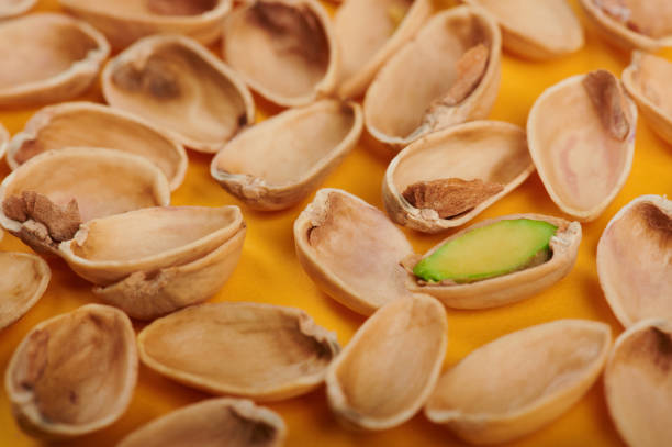 پوست پسته خشک شده مناسب کود آلی کمپوست