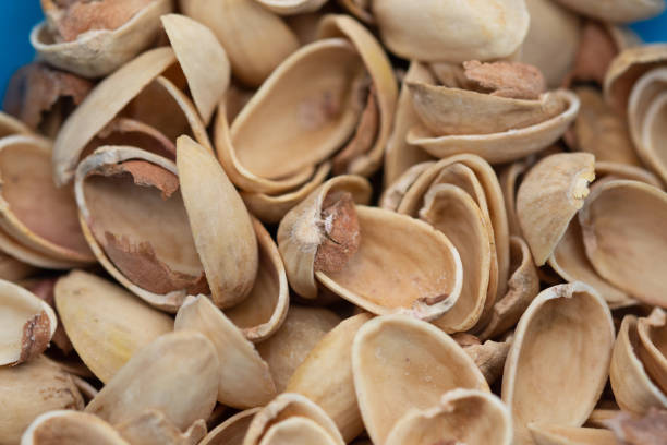 تصویر 5 از پوست پسته خوراک دام با کیفیت ارگانیک