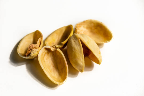 تصویر 4 از پوست پسته خوراک دام با کیفیت ارگانیک