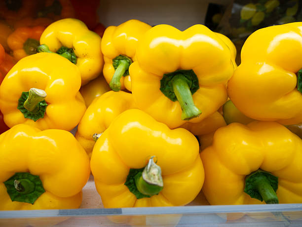 تصویر 4 از فلفل دلمه ای زرد ارگانیک صادراتی