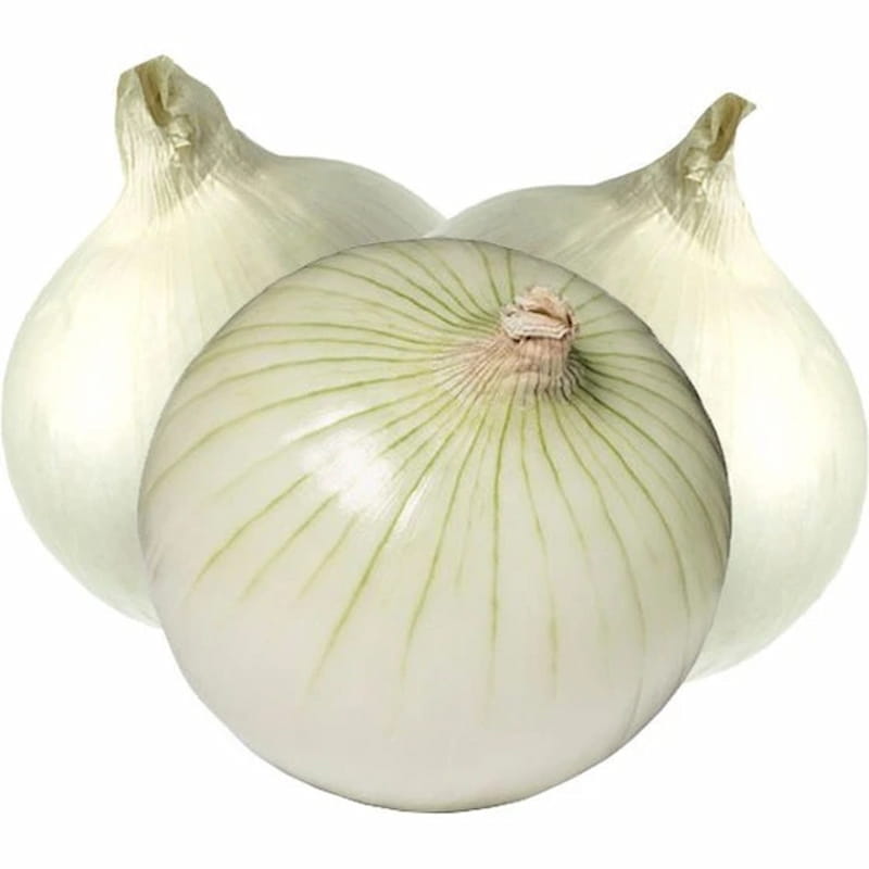 تصویر 3 از پیاز سفید با رنگی روشن و چند منظوره برای آشپزی