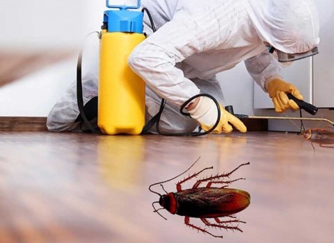 تصویر 1 از سم سوسک کش قوی فوری بدون بو