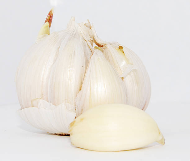 تصویر 1 از انواع سیر ایرانی طعمی عالی با تندی مناسب