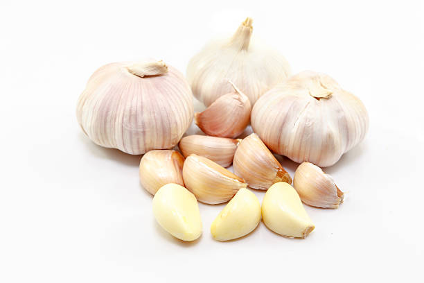 تصویر 2 از سیر صادراتی بافتی نرم و حبه های یکسان