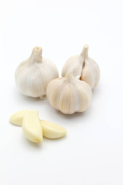 سیر صادراتی بافتی نرم و حبه های یکسان