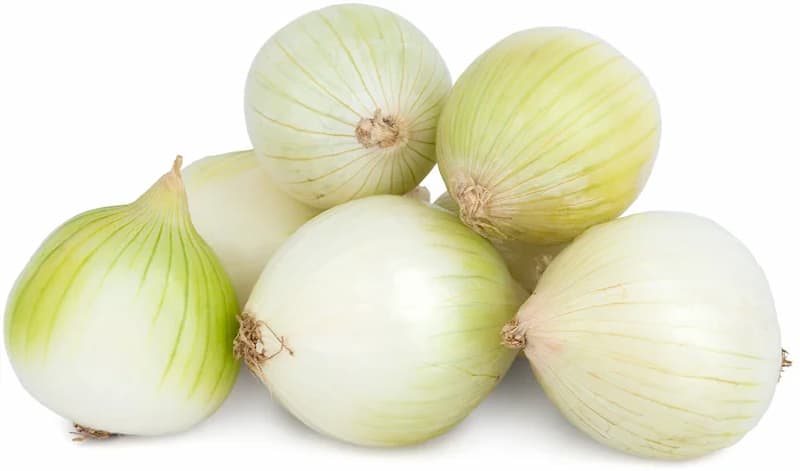 تصویر 4 از پیاز با پوسته نازک و ظریف برای آسانی در پوست گیری