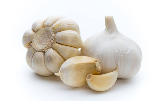 سیر صادراتی درجه یک با کیفیت عالی