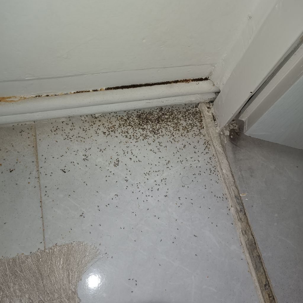 قیمت سم ارگانیک