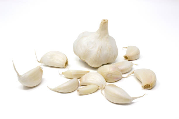 خرید سیر خشک