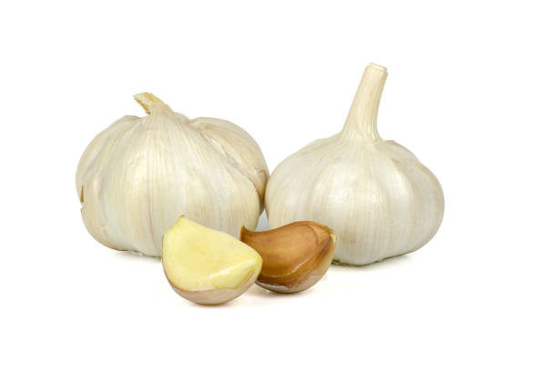 فروش سیر خشک