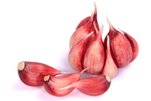 بهترین سیر قرمز صادراتی و مقرون به صرفه