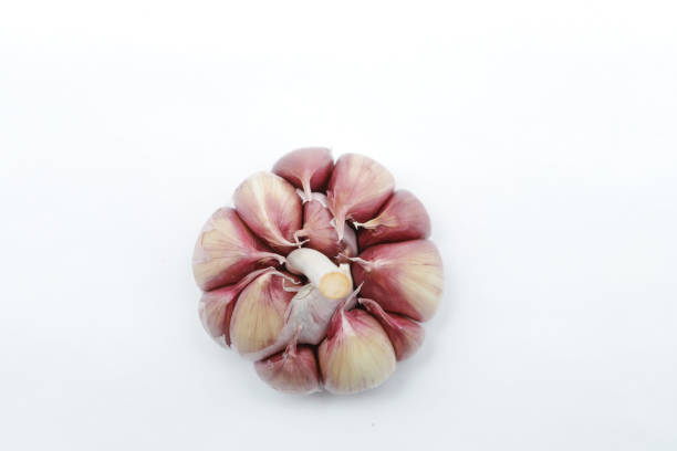 تصویر 1 از بهترین سیر قرمز صادراتی و مقرون به صرفه