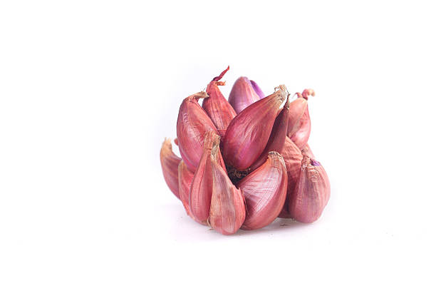 تصویر 3 از بهترین سیر قرمز صادراتی و مقرون به صرفه