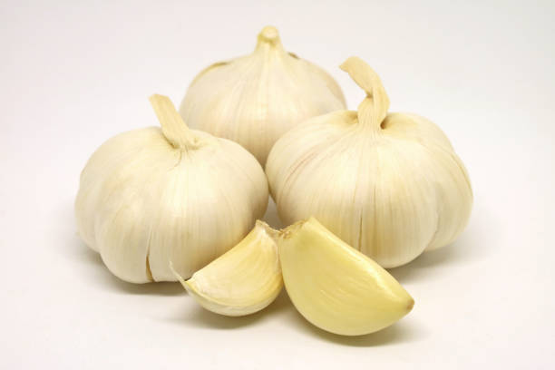 انواع سیر اصل همدان ممتاز و ارزان