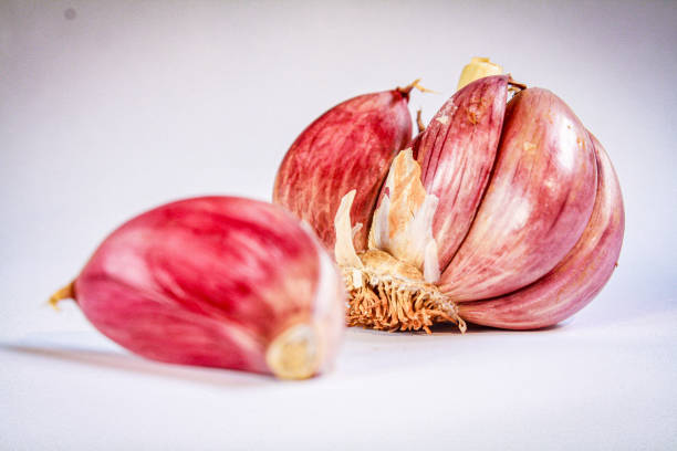 تصویر 2 از سیر بنفش همدان عطری شیرین و تازه