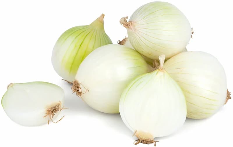 تصویر 1 از پیاز ساقه سبز تازه و معطر برای طعم و تازگی در آشپزی