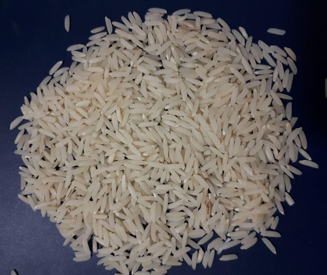 برنج هاشمی گیلانی کشت اول خالص