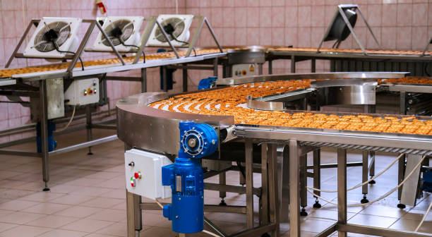 راه‌ اندازی خط تولید دونات اتوماتیک با ظرفیت روزانه بالا