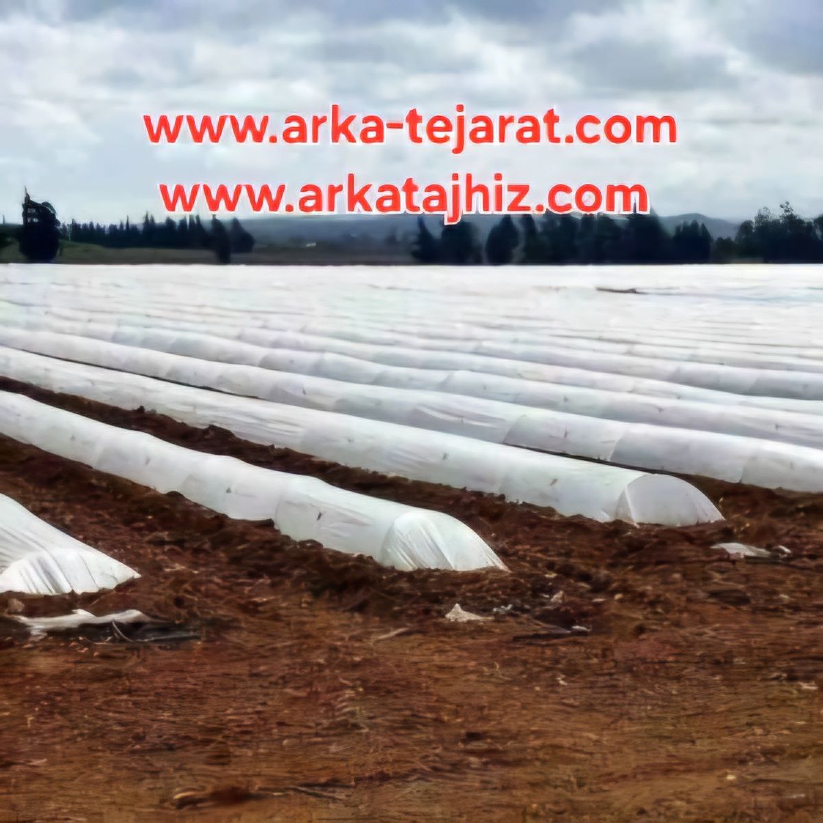 تصویر 4 از خرید بی‌واسطه کاور ضد سرما عرض 7 متر + قیمت عمده ویژه کشاورزان