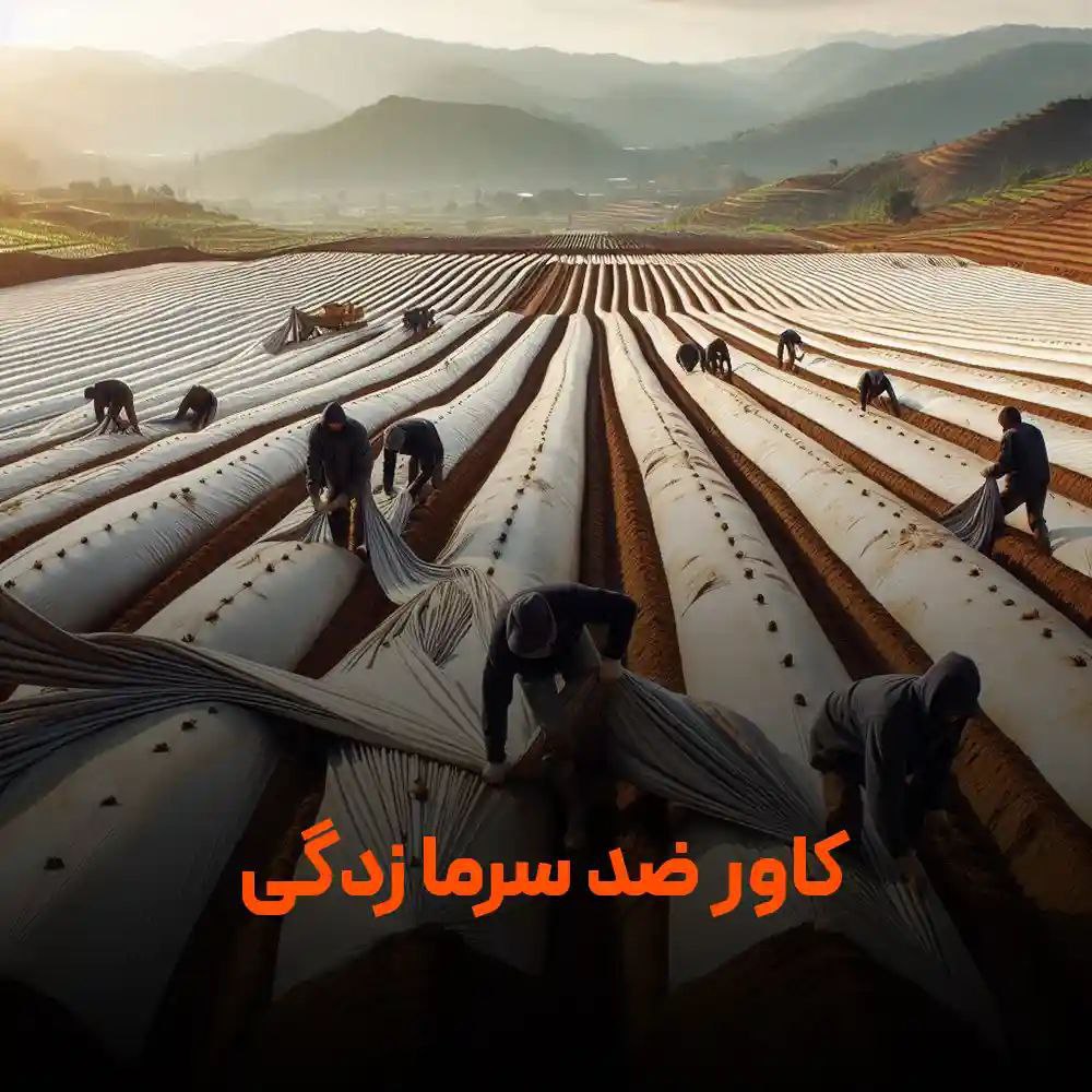 تصویر 2 از خرید بی‌واسطه کاور ضد سرما عرض 7 متر + قیمت عمده ویژه کشاورزان
