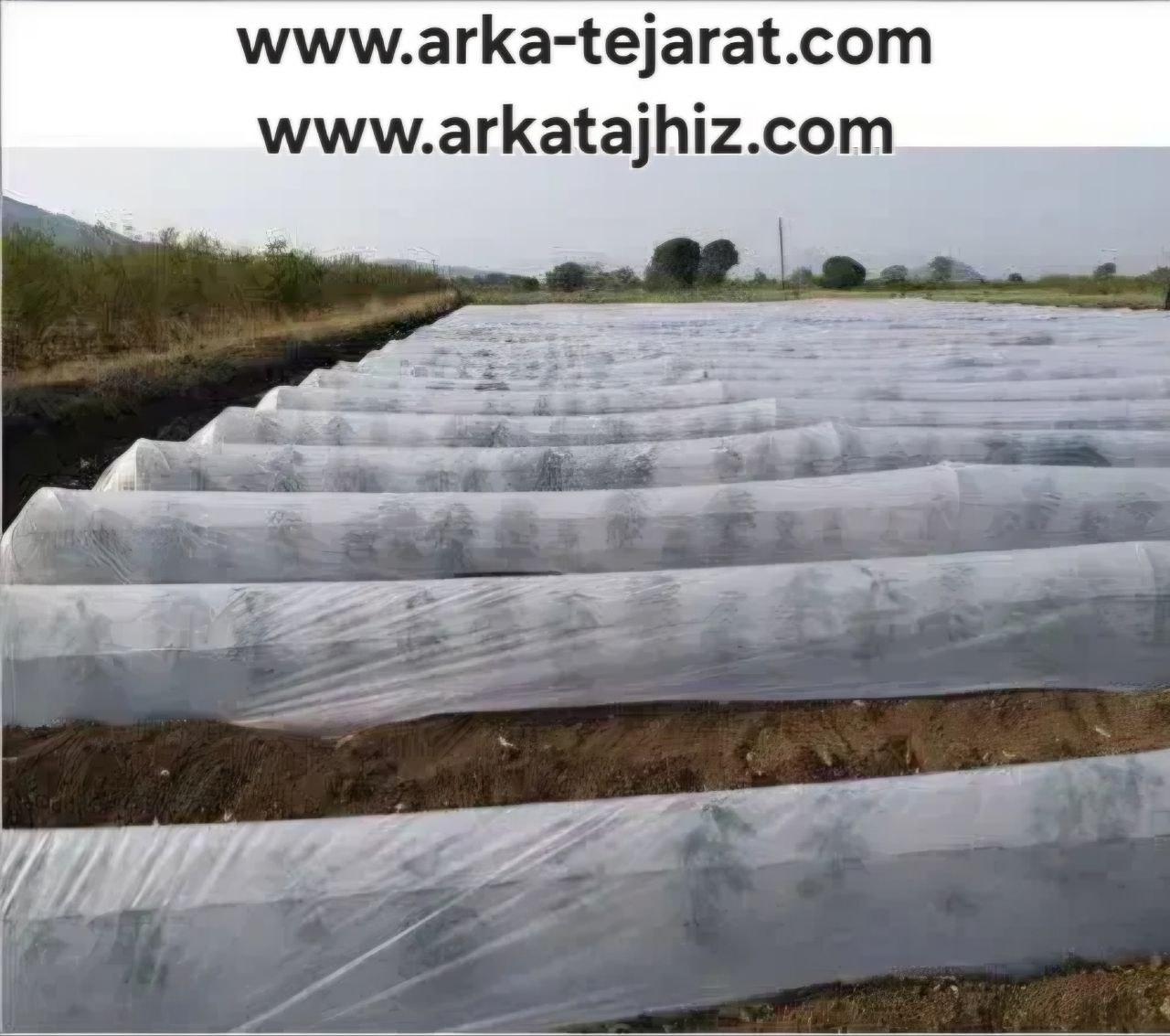 تصویر 1 از خرید بی‌واسطه کاور ضد سرما عرض 7 متر + قیمت عمده ویژه کشاورزان