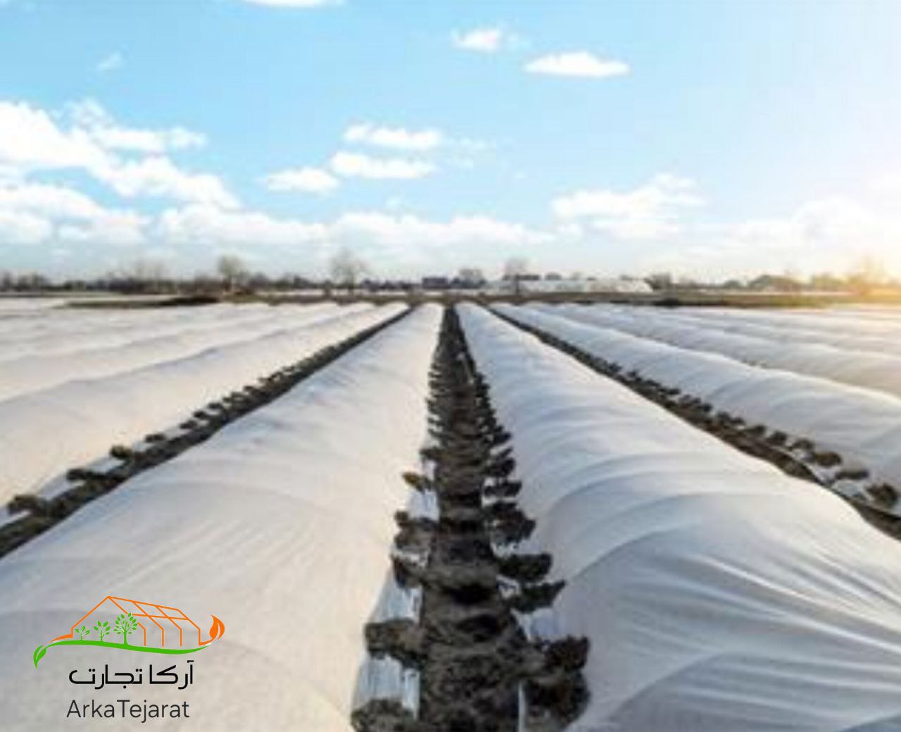 تصویر 2 از فروش مستقیم انواع کاور ضد سرما گوجه فرنگی + خرید باورنکردنی از آرکا تجارت