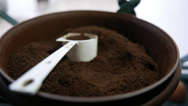 تصویر 1 از قهوه صد روبوستا تناژ بالا مستقیم از تولید کننده