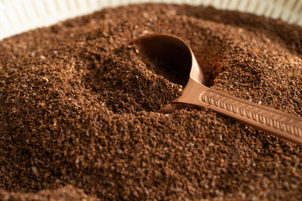 تصویر 2 از قهوه صد روبوستا تناژ بالا مستقیم از تولید کننده