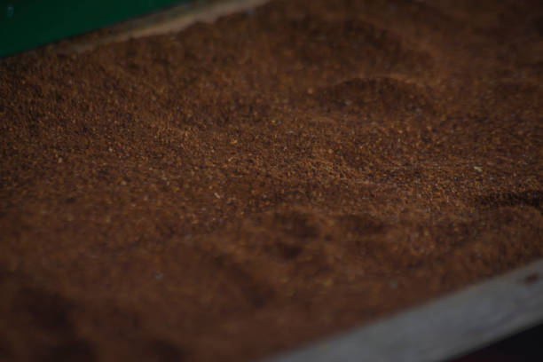 تصویر 3 از قهوه صد روبوستا تناژ بالا مستقیم از تولید کننده