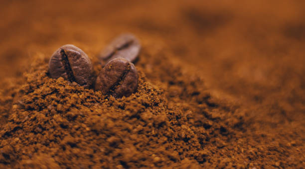 تصویر 5 از قهوه صد روبوستا تناژ بالا مستقیم از تولید کننده