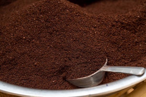 تصویر 4 از قهوه صد روبوستا تناژ بالا مستقیم از تولید کننده