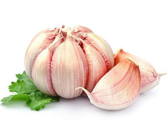 تصویر 1 از پودر سیر اصل مناسب آشپزی روزانه خانگی و انواع غذا