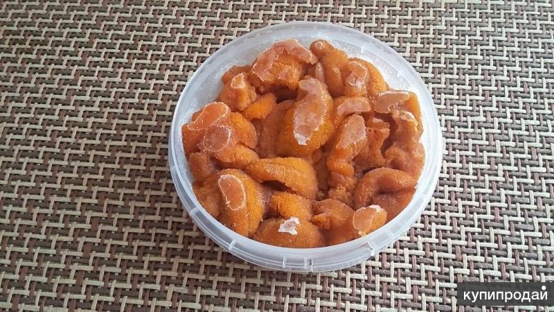 تصویر 2 از آلو بخارا ترش با طعم ویژه برای غذا های اصیل